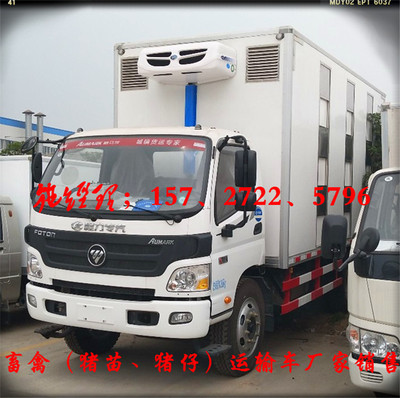 淮陰區(qū)7.1米豬苗運輸車選擇指南及冷藏車市場行情分析
