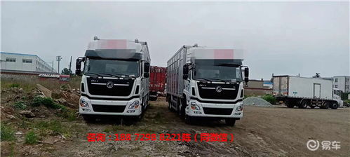 新款東風(fēng)天龍4層豬苗運(yùn)輸車 鋁合金廂體上裝價(jià)格解析與車型優(yōu)勢
