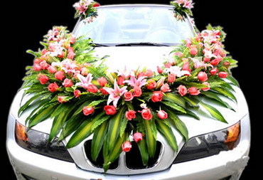 網(wǎng)絡(luò)門(mén)牌號(hào)上的婚慶新篇 當(dāng) 051182106370.i-dno.com 牽手溫馨禮儀